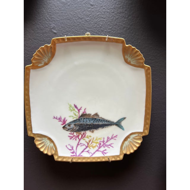 Antique Hand Painted Fish Plates Set 11 Pieces Chairish