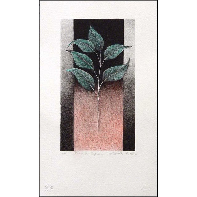 Paper Frank Howell Sioux Spring 1982 Original Art Lithograph, Hand Signed For Sale - Image 7 of 7