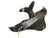 Boho Chic Wall Lighting in the Shape of an Angelfish, 1980s For Sale - Image 3 of 10