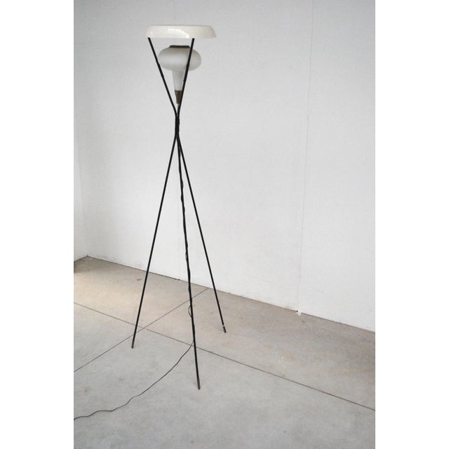 Mid-Century Modern Italian Floor Lamp, 1950s For Sale - Image 3 of 7