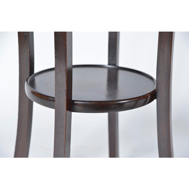 Brown Antique English Mahogany Birch Wood Plant Stands, 1900s, Set of 2 For Sale - Image 8 of 14