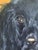 Black Vintage Original Dog Portrait Oil Painting, Signed Animal Art For Sale - Image 8 of 17