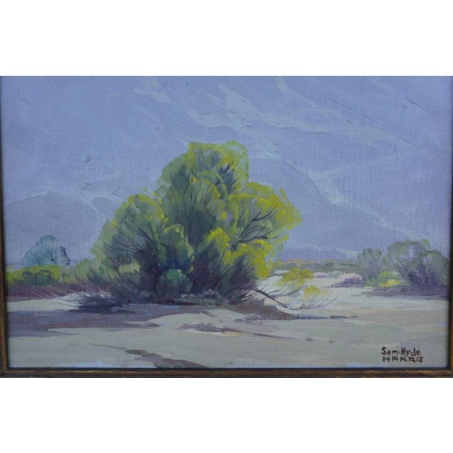 Sam Hyde Harris - Palo Verde Fantasy - Oil on Board For Sale - Image 4 of 7