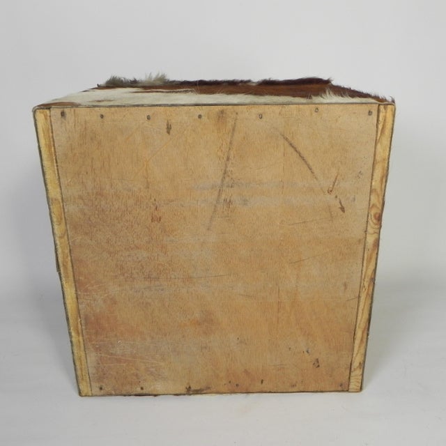 Vintage Cowhide Ottoman with Storage, Netherlands, 1950s For Sale - Image 10 of 11