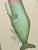 Hand-painted by master artists using acrylic paints and natural pigments, Ollie is a wonderfully whimsical whale brought...