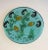 1970s Resin Plates with Incrusted Seahorses, Fish, Algues and Shells - Set of 4 For Sale - Image 11 of 13