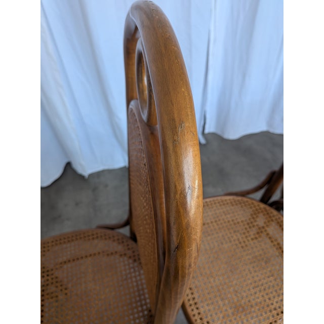 1970s Mid-Century Bentwood Cane Dining Chair, Yugoslavia, 1970s, Set of 6 For Sale - Image 5 of 18