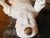 Ceramic "Lobster Boy #4," Porcelain Sculpture by Robert Hechler For Sale - Image 7 of 14