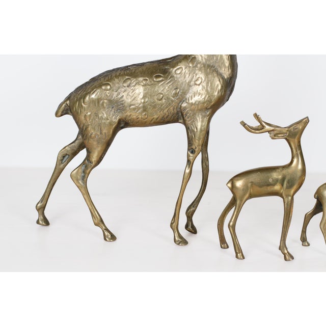 Mid-Century Brass Deer Family, Set of 4 | Large Stag and Fawns For Sale - Image 14 of 15