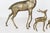 Mid-Century Brass Deer Family, Set of 4 | Large Stag and Fawns For Sale - Image 14 of 15