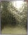 Tree Scene Watercolor Signed by Lancaster For Sale - Image 4 of 10