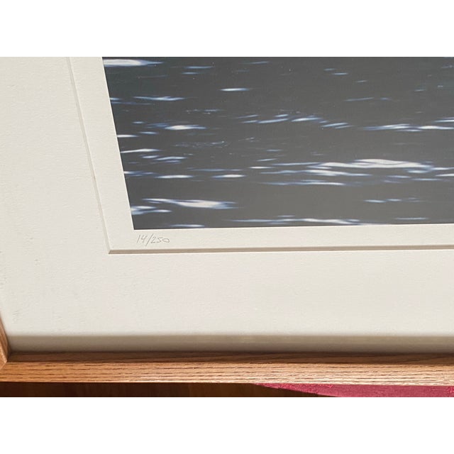 Coastal 1990s Art Wolfe Signed Limited Edition 14/250 Photo Orcas Sierra Club Oak Wood Frame For Sale - Image 3 of 8