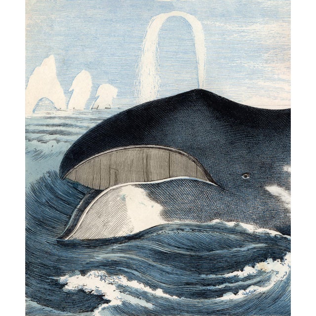 Contemporary Reproduction Prints After Illustrations From the 1850's, Pair of 2 For Sale In Atlanta - Image 6 of 7