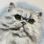 Late 20th Century Vintage Ceramic Cat Plate by Poole, England For Sale - Image 5 of 7