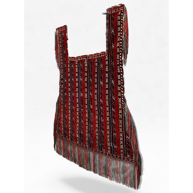 Vintage Turkmen Handwoven Horse Cover Blanket, 1920s For Sale - Image 3 of 18