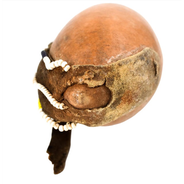 Early 20th Century Maasai Beaded Milk Gourd Container Kenya For Sale - Image 4 of 6
