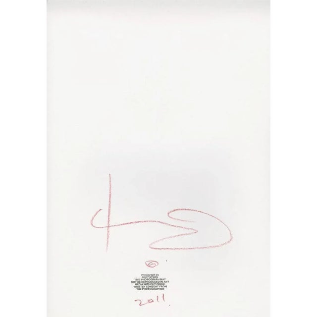 Bert Stern, Marilyn Monroe Gold Apricot Wink Roses, 2012, Paper For Sale - Image 3 of 5