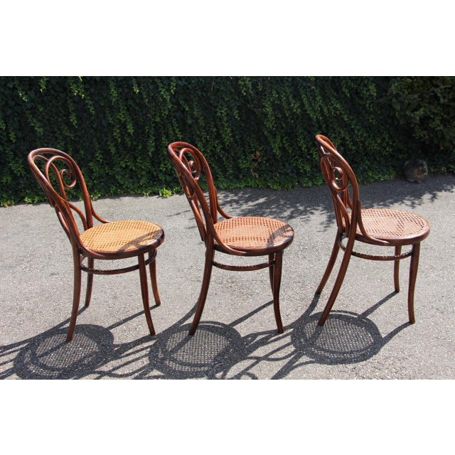 19th Century Bistro Chairs in the style of Thonet, 1890s, Set of 8 For Sale - Image 6 of 14