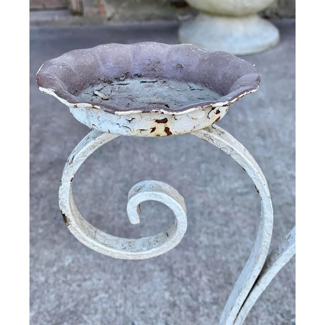 Early 20th Century Antique Victorian Wrought Iron Outdoor Garden Plant Stand For Sale - Image 5 of 11