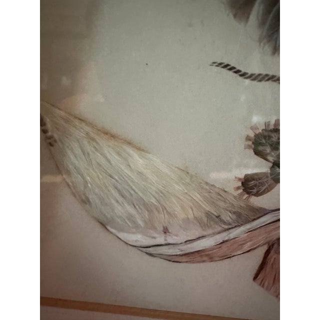 1930s Framed Crest of Mexico an Eagle With a Snake in Its Mouth Crafted Entirely From Feathers For Sale - Image 4 of 10