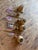 4 Visual Comfort Bryant Sconces --- Long Tail For Sale - Image 11 of 11