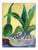 Mid-Century Modern Mid 20th Century Aloe Vera Plant Still Life Painting For Sale - Image 3 of 4