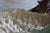 Vintage Hand-Painted English Country Grazing Sheep Sculpture on Green Plinth For Sale In Washington DC - Image 6 of 18
