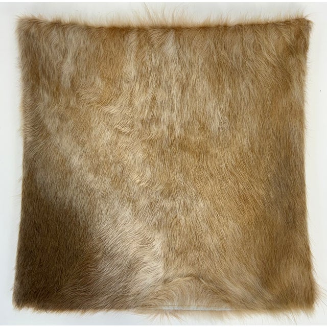 Animal Skin 18” X 18” Premium Colombian Champagne Long-Haired Cowhide Pillow Cover - Handcrafted by Pablo Sota Designs For Sale - Image 7 of 11