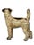 Vintage 1930s American Hubley Manufacturing Company Cast Iron Fox Terrier Dog Doorstop For Sale - Image 15 of 18