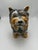 Italian Vintage Ceramic Yorkie For Sale In Charleston - Image 6 of 8