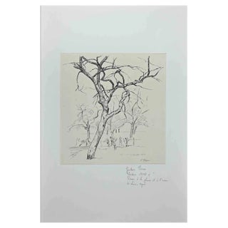 Gustave Pierre, Trees, Original China Ink and Pen Drawing, Early 20th-Century For Sale