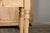 English 19th Century English Bleached Oak Side Table with Carved Shield Motif For Sale - Image 3 of 12