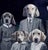 Contemporary Never forget the Forest - Dogs by Marcin and Kate Owczarek | Digital Artwork of dogs in vintage attire. For Sale - Image 3 of 5