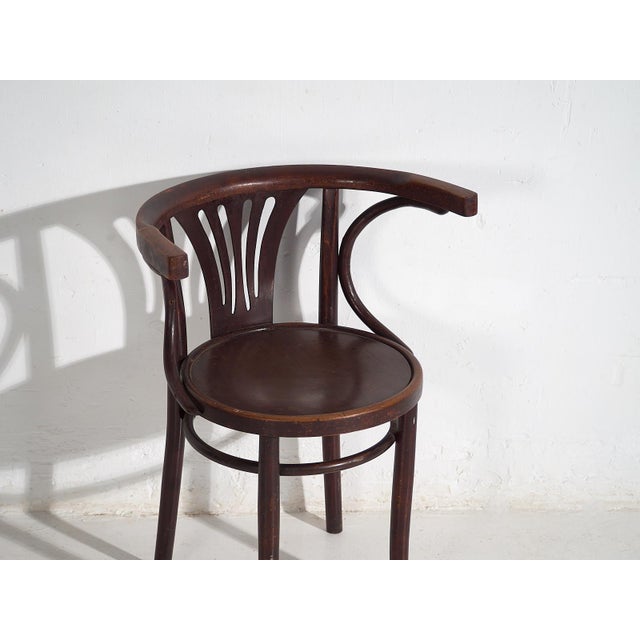 Armchairs from Thonet, 1920s, Set of 4 For Sale - Image 15 of 18