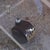 Space Age Side Table, France, 1970s For Sale - Image 9 of 10