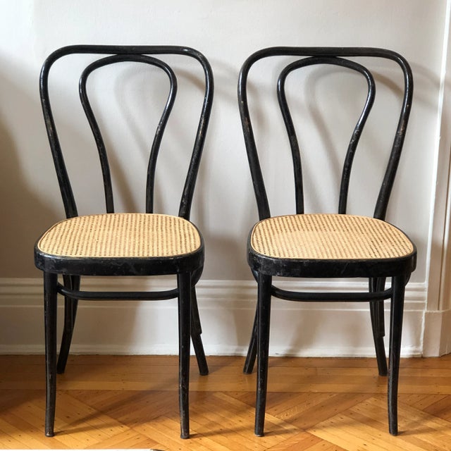 Rustic European Early/Mid-20th Century Italian Bentwood Bistro Cafe Chairs — a Pair For Sale - Image 3 of 12