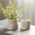 Add a touch of elegance to your space with the Porcelain Floral Patterned Planter Set. Featuring cool beige and white...