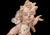 18th Century German Baroque Painted Wood Angel Sculptures, a Pair For Sale - Image 5 of 12