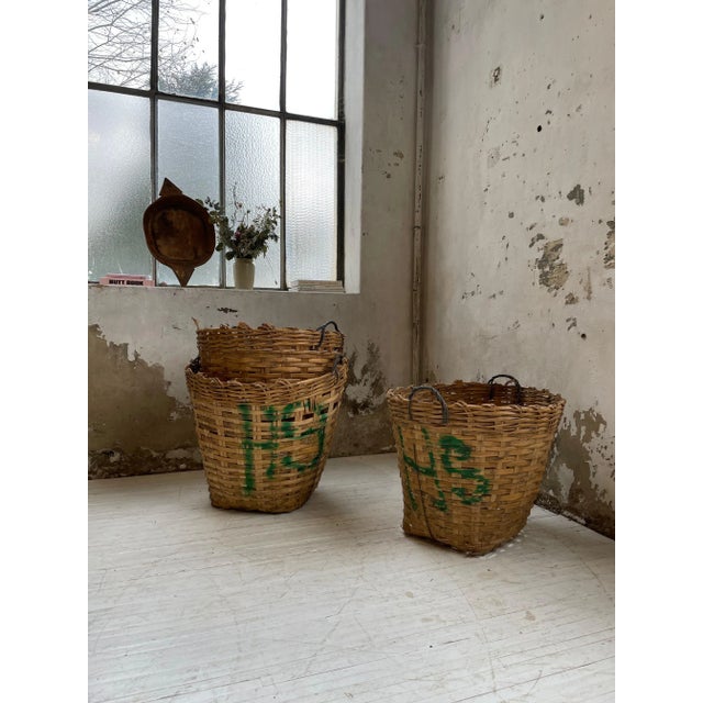 XXL Laundry Baskets, 1970s, Set of 3 For Sale - Image 11 of 18