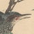 Late 19th Century Imao Keinen, Brown-Eared Bulbul from Keinen Kacho Gafu, 1892, Woodblock Print For Sale - Image 5 of 13