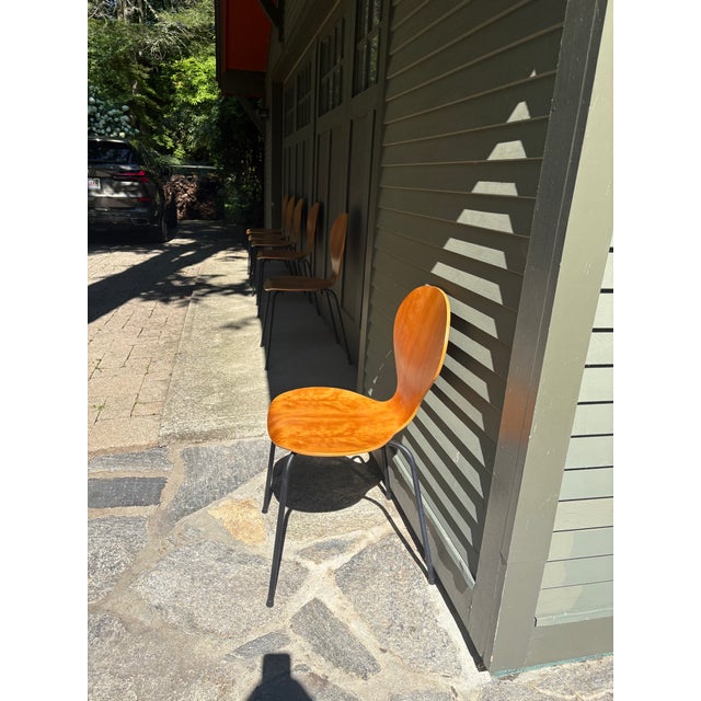 Phoenix Chair Company Set of 6 Danish Modern Phoenix Molded Plywood Dining Chairs, Made in Denmark, 1990s For Sale - Image 4 of 7