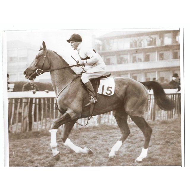 1938 black and white horse racing photograph of Blue Prince, an entry in the Grand National Steeplechase in Liverpool,...