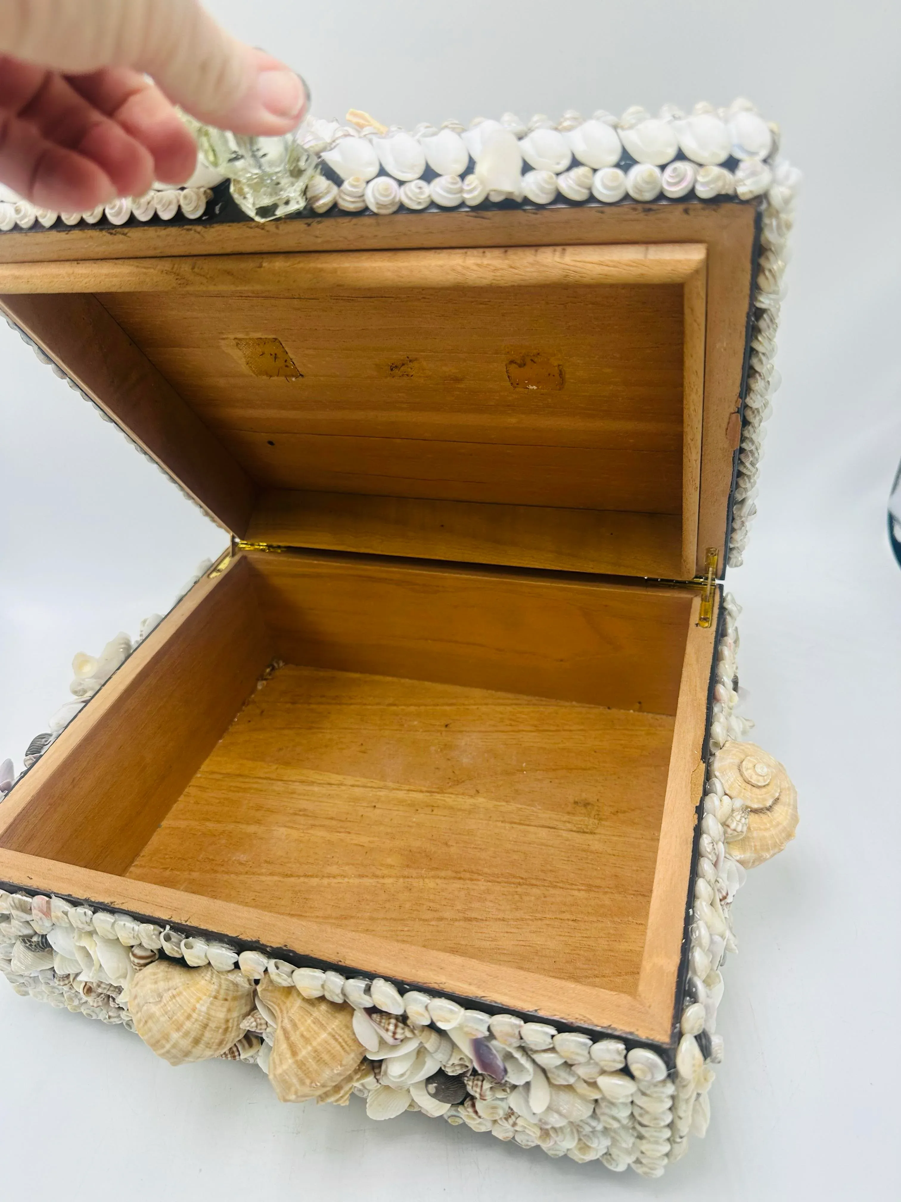 Large Vintage Shell Box, Hand Crafted | Chairish