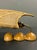 Vintage Italian Rattan Wicker Pine and Brass Scallop Wall Sconces, 1970s, Set of 2 For Sale - Image 11 of 18