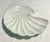 MCM Porcelain Andrea by Sadek Shell Plate For Sale - Image 4 of 6