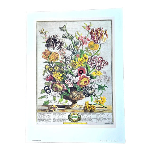 1980s Vintage Robert Furber April Botanical From "Twelve Months of Flowers” Pierpont Morgan Library Print For Sale