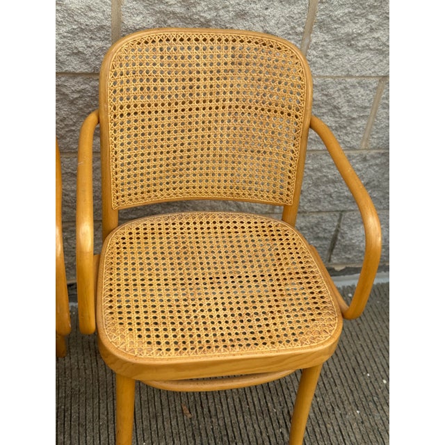 1970s A Pair of Mid Century Thonet Style Bentwood Prague Chairs Chairs For Sale - Image 5 of 9