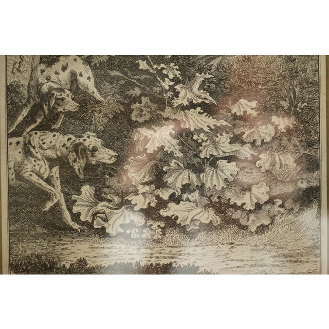 Robert Dodd, Pheasant Shooting, 1748-1816, Copperplate Engraving, Framed For Sale - Image 16 of 18