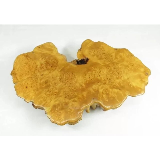 Antique Japanese Meiji Kadai Burl Presentation Board For Sale - Image 9 of 10