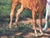 Gilt Framed Oil Painting Grey Mare and Chestnut Foal "Mother and Son" After Henry William Banks Davis Ra For Sale - Image 15 of 18